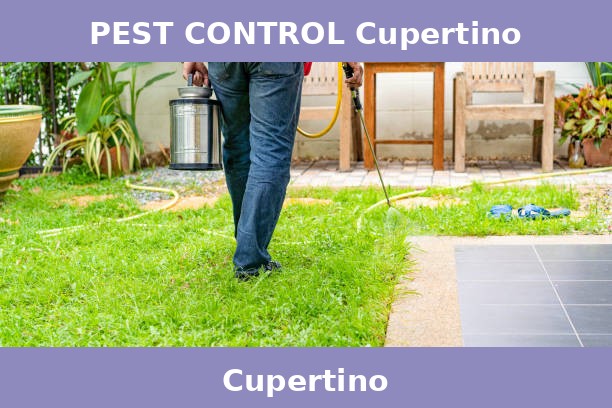 PEST CONTROL Cupertino